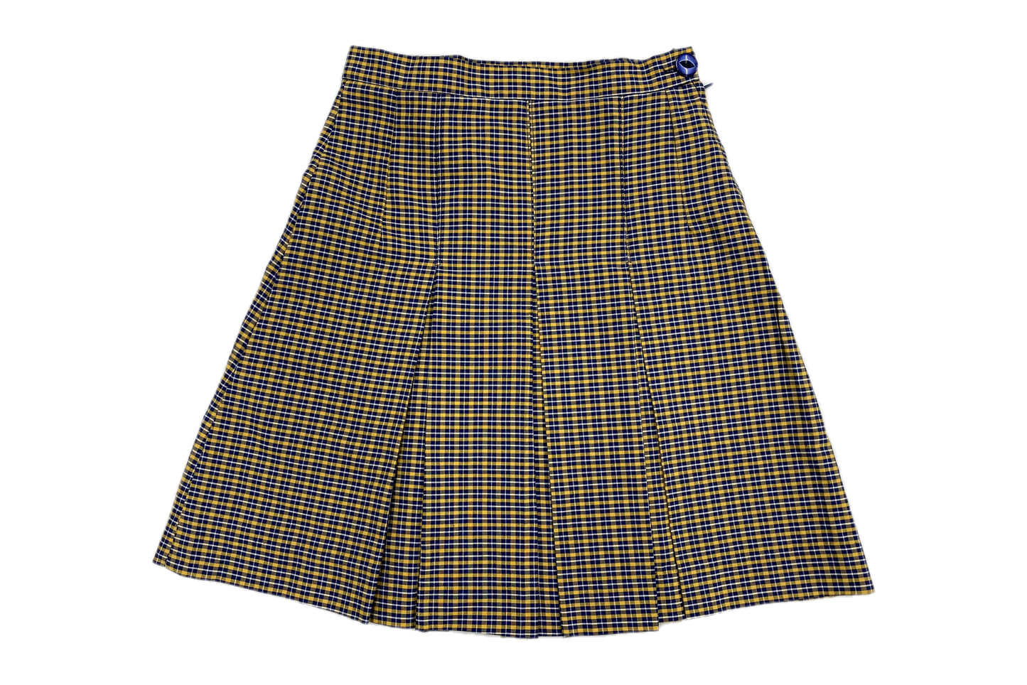 Pleated Skirt - Orissa Primary