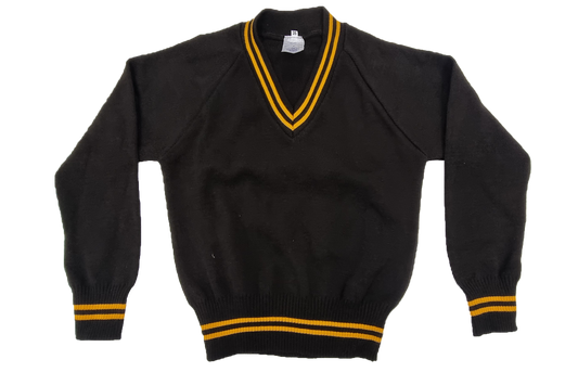 Longsleeve Striped Jersey - Enyos Brown/Gold