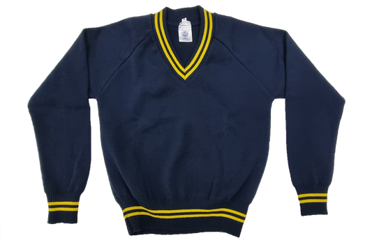 Longsleeve Striped Jersey - Navy/Yellow