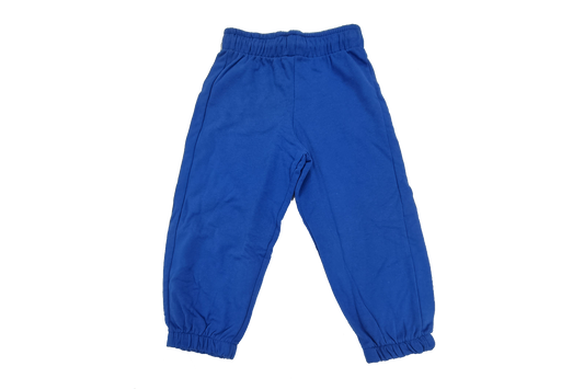 Plain Royal Toddlers Fleece Pants