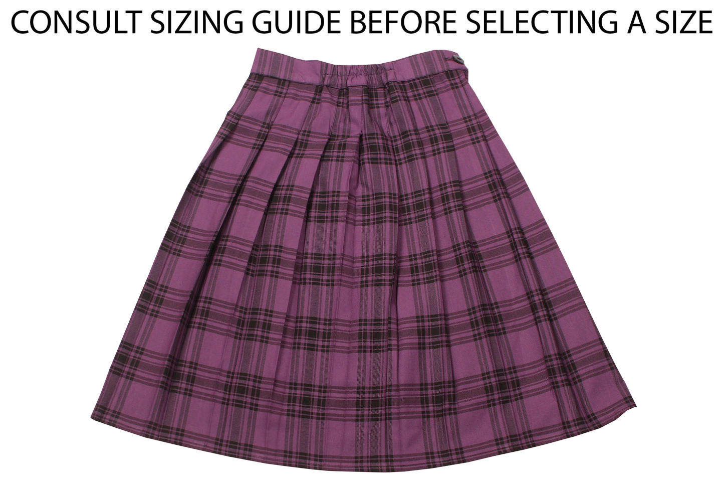 Pleated Skirt - Star College High School